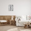 Stupell Industries Birch Trees Forest, 20" x 16" - 2 of 4