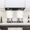 Tylza 30 in. 900 CFM Convertible Ductless Insert Range Hood In Stainless Steel, Black - 3 of 4