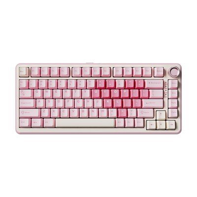 MaseiKar B75 PRO Wireless Mechanical Keyboard,75%Layout with Knob,Hot Swap Gasket Custom Structure,RGB Backlit,Bluetooth/Type-C/2.4G(Milk Switch,Pink)
