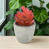 Unique Bargains Artificial Plants New Lotus in Mini Pulp 2.76"x2.76"x4.53" 1 Pc - 2 of 4