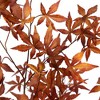 Nearly Natural 6-ft Autumn Japanese Maple Artificial Fall Tree - 3 of 4