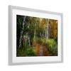 Stupell Industries Walk In The Hemlocks Forest Framed Print Under Glass - 2 of 4