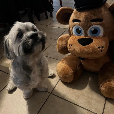 Guest review image 1 of 2, zoom in