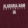 Campus Lab Alabama A&M University Official Stacked Adult Pull-Over Hoodie - 2 of 4