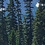 imprint light pewter