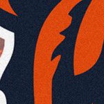 chicago bears