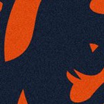 chicago bears