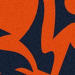 chicago bears