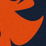 chicago bears
