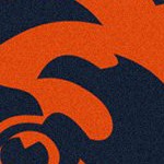 chicago bears