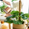 SuperMoss Stackable Coco Pole for Indoor Gardening, 18" - 3 of 3