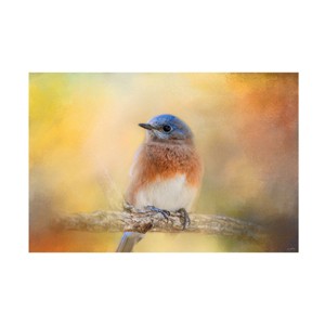 Trademark Fine Art -Jai Johnson 'Autumn's Treasure' Canvas Art - 1 of 4