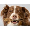 Scout & Zoe's: Lamb Green Tripe - 3oz Dog Treats, Dehydrated Single Ingredient - 3 of 4