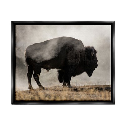 Stupell Industries Powerful Bison Grazing Foggy Rural Pasture PhotographyFloater Canvas Wall Art