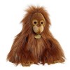 Aurora Medium Baby Orangutan Miyoni Tots Adorable Stuffed Animal Orange 11" - 2 of 4