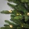 7 1/2' Wallace Pine Hinged Tree with Warm White C6 LED Lights - 3 of 4