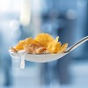 Frosted Flakes Breakfast Cereal - 2 of 4