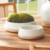 Plum & Post Leona Decorative Bowls Set of 2 - 4 of 4