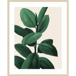 Amanti Art Jeweled Ficus I by Grace Popp Wood Framed Wall Art Print - 1 of 4