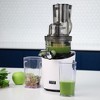 Whole Slow Juicer REVO830 - 4 of 4