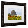 Trademark Fine Art Mich Catanzaro Haystack Rock Matted Framed Art - 3 of 4