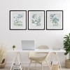 Stupell Industries Wild Blooms with Detailed Outlines 3pc Framed Print Under Glass Set - 2 of 4