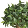 4Ft Silk Topiary Tree - Double Ball Sweet Bay Indoor Outdoor Decor - 2 of 4