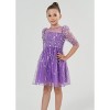 2Bunnies Girls Sparkle Sequin Beaded Tulle Flower Girl Party Dress - 4 of 4