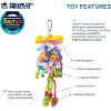 Prevue Pet Products Preen & Pacify Calypso Creations Short Stack Bird Toy 62605 - 3 of 3