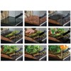 Exo-Terra BioDrain Terrarium Draining Substrate - 4.4 lb - 2 of 3