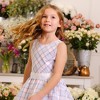 Hope & Henry Girls' Sleeveless Special Occasion Party Dress with Cross Back Detail, Toddler - image 2 of 4