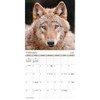 Trends International 2025 Wolves Wall Calendar: Monthly Art, 12x12 Inches, Saddle Stitch Binding, All Ages, Multicolored - 3 of 4