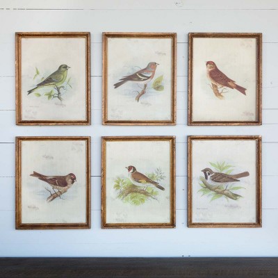 Park Hill Collection Vintage Bird Framed Prints