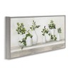 Stupell Industries Traditional Potted Cottage Plants, 30" x 13" - 3 of 4