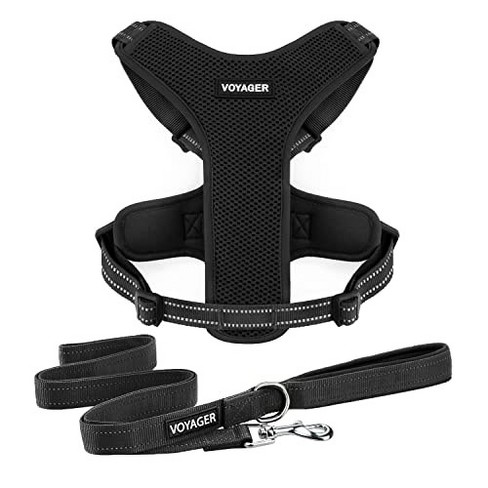 Doggie Design Cool Mesh Dog Netted Harness With Leash - Solid Black  (medium) : Target