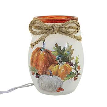Stony Creek Pumpkins Pre-Lit Small Jar  -  One Pre-Lit Orb 4 Inches -  Fall Thanksgiving  -   -  Glass  -  Clear