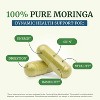 Pure Moringa Capsules 5000mg, Antioxidant Superfood for Energy, Immunity & Gut Health Support, Vitamins & Minerals Supplement, Nobi Nutrition, 60ct - 2 of 4