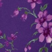 radiant purple soft floral