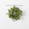 Sullivans Artificial Inch Plant Wreath - 3 of 3