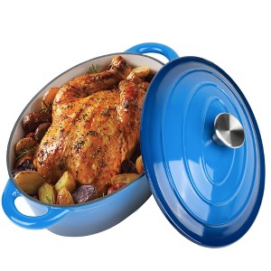 Dexmalle 4.5-QT Blue Oval Dutch Oven with Lid,Up to 500°F - 1 of 4