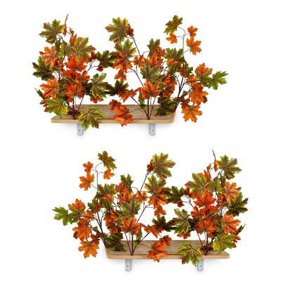 On2Pets Summer Rectangle Cat Canopy Shelves - Orange/Green - 2ct