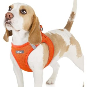 rabbitgoo Small Dog Harness, Step-in Soft Mesh Puppy , Breathable Reflective Pet Harness for Small Sized Dogs, Orange M - 1 of 1