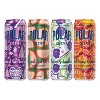 Polar Beverages Winter Variety Pack Sparkling Water - 12pk/12 fl oz - 4 of 4