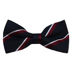 Men's Stripe Color 2.75 W And 4.75 L Inch Pre-Tied adjustable Bow Ties - 1 of 3