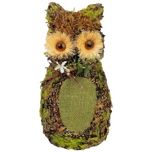 Northlight Forest Tree Owl Standing Figurine - 11" - Brown and Green - 1 of 4