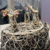 Bamboo Blooms Self-Watering Planter Set of 3 - Cream, Green Leaves & Sage Green - 4 of 4