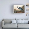 Pictufy   'Blue Crane or Heron From Birds of America 1827' Canvas Art - 3 of 4