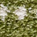 green/ivory