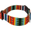 Country Brook Petz HossFit Jr Wide Deluxe Dog Collar - Country and Western Collection - 3 of 4