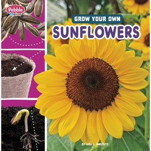 Grow Your Own Sunflowers - (Pebble Maker Grow) by  Lisa J Amstutz (Paperback) - 1 of 1